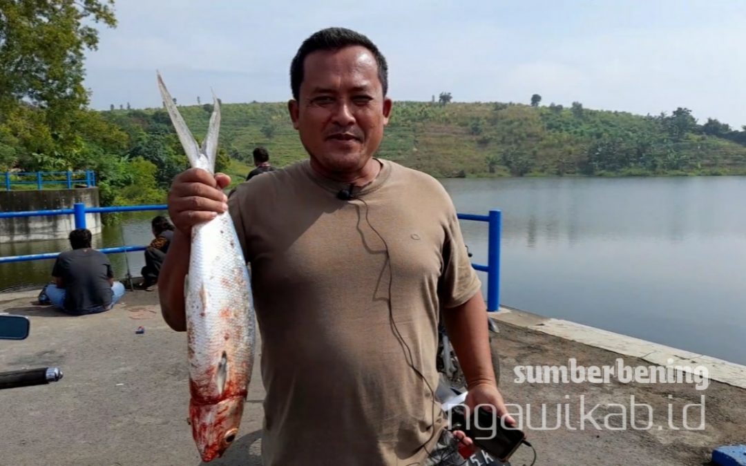 Detail Mancing Ikan Bandeng Nomer 5