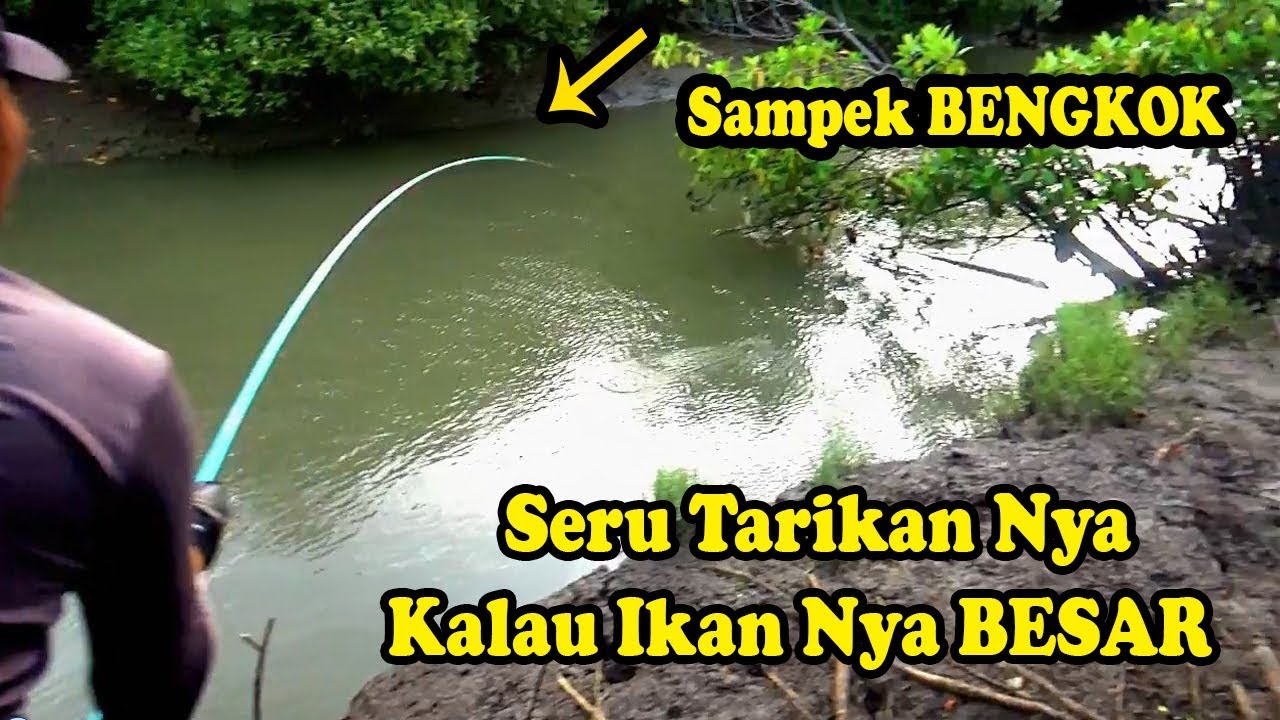 Detail Mancing Ikan Besar Di Kali Nomer 2