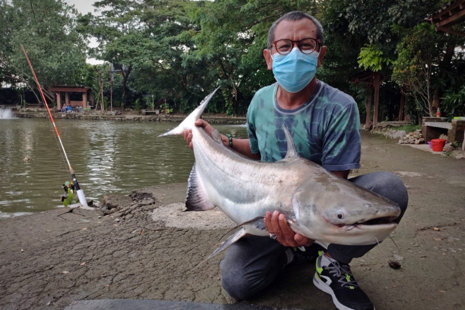 Detail Mancing Ikan Besar Di Kali Nomer 45