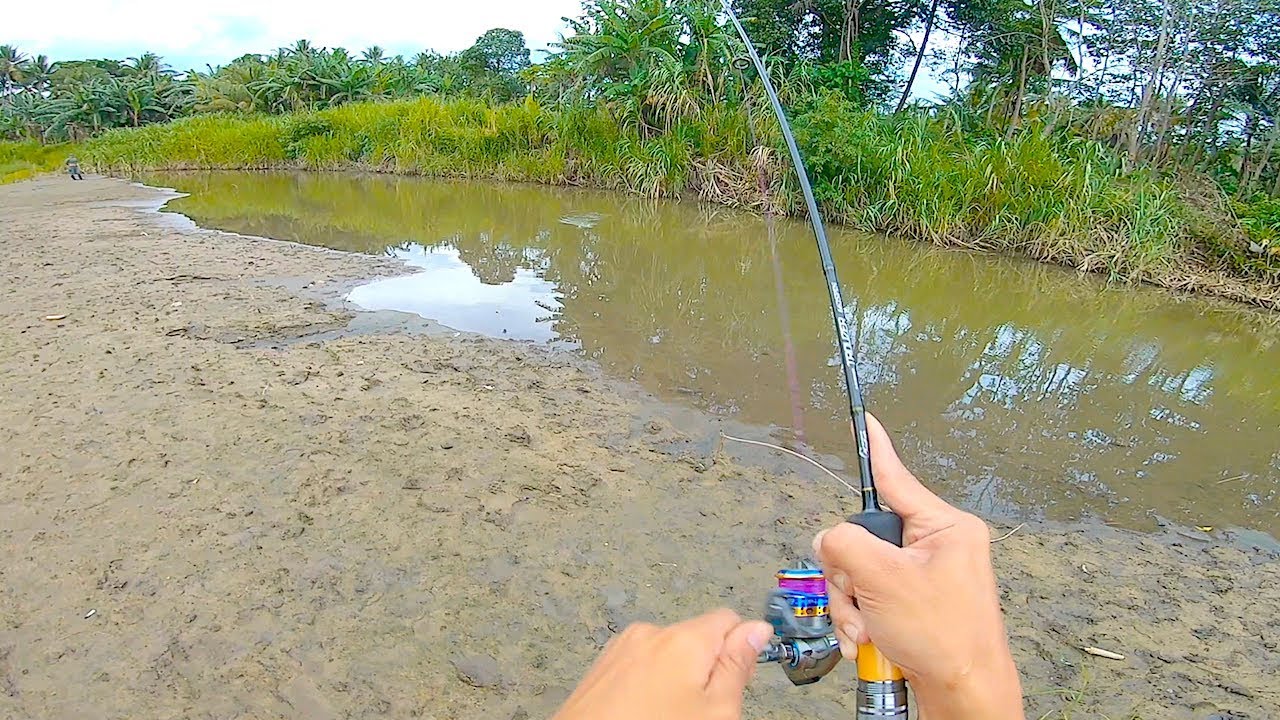 Detail Mancing Ikan Besar Di Kali Nomer 8