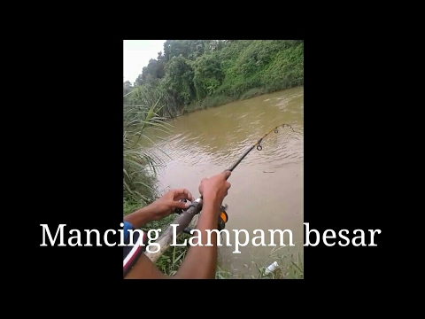 Detail Mancing Ikan Besar Di Sungai Nomer 13