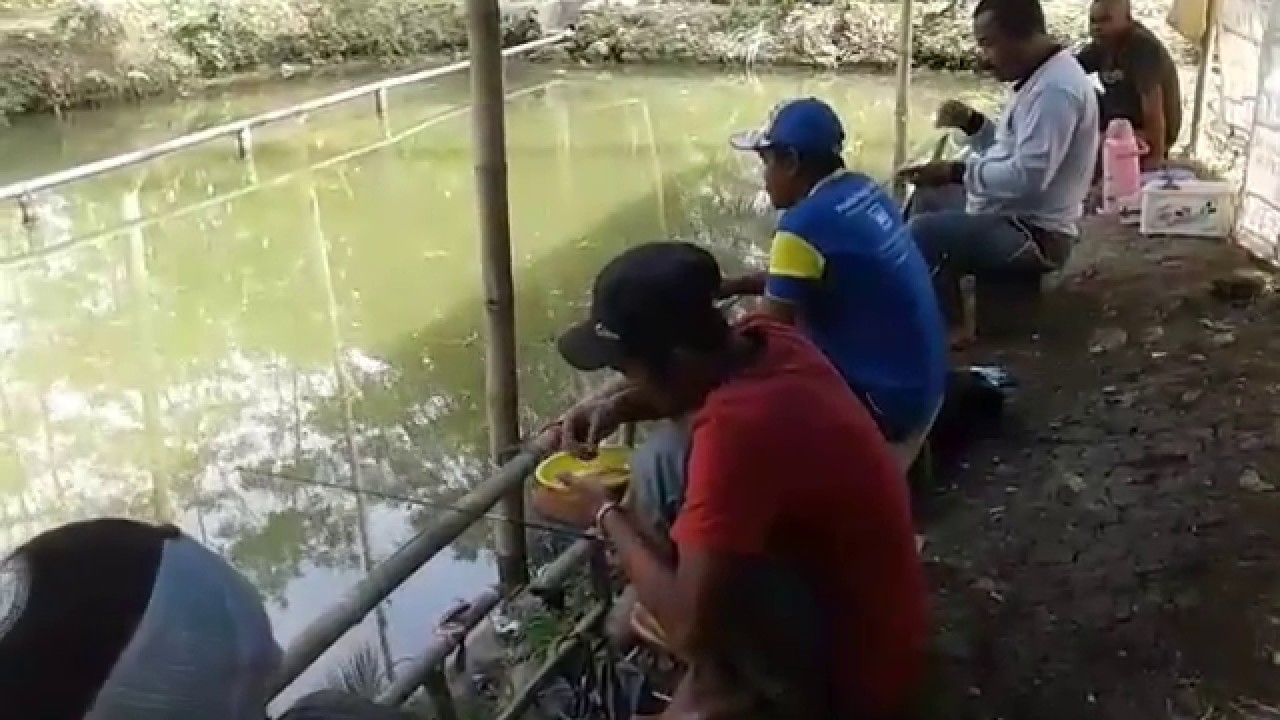 Detail Mancing Ikan Di Kolam Nomer 12