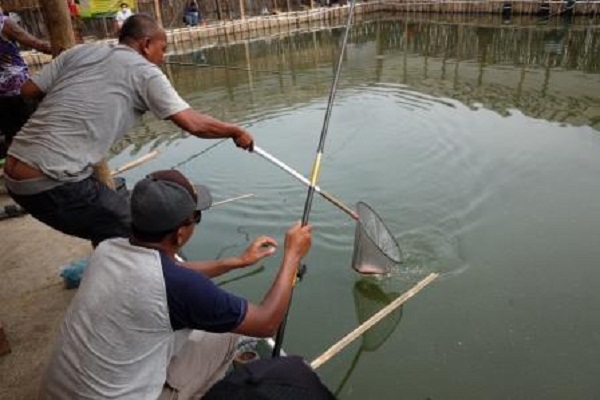 Detail Mancing Ikan Di Kolam Nomer 3