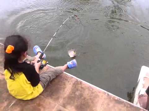 Detail Mancing Ikan Di Kolam Nomer 18