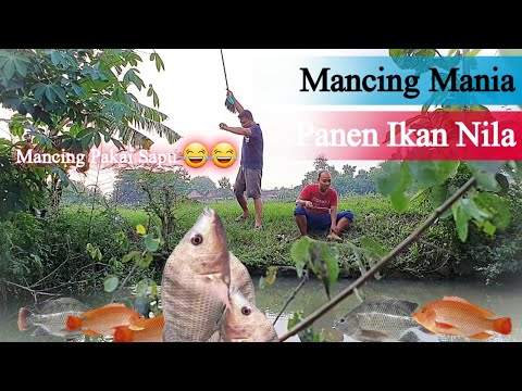 Detail Mancing Ikan Di Kolam Nomer 47