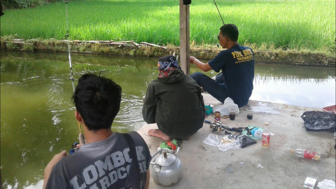 Detail Mancing Ikan Di Kolam Nomer 48