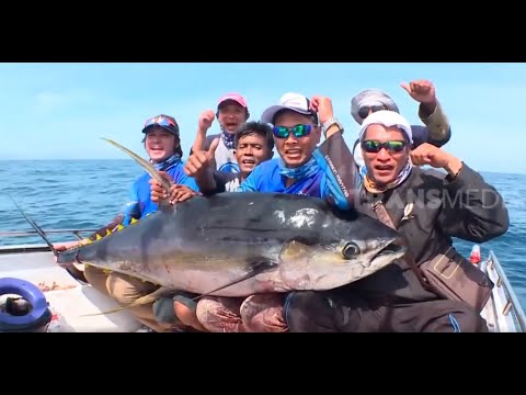 Detail Mancing Ikan Di Laut Nomer 23