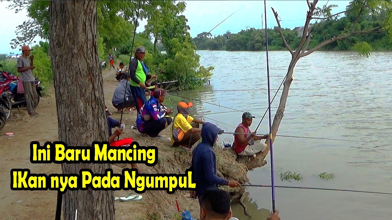 Detail Mancing Ikan Di Sungai Nomer 11