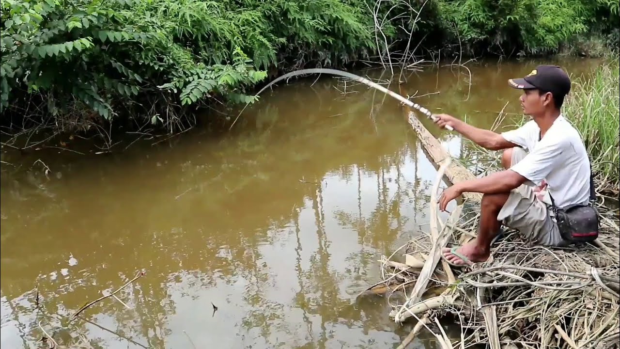 Detail Mancing Ikan Di Sungai Nomer 13