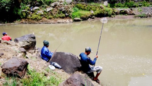 Detail Mancing Ikan Di Sungai Nomer 14