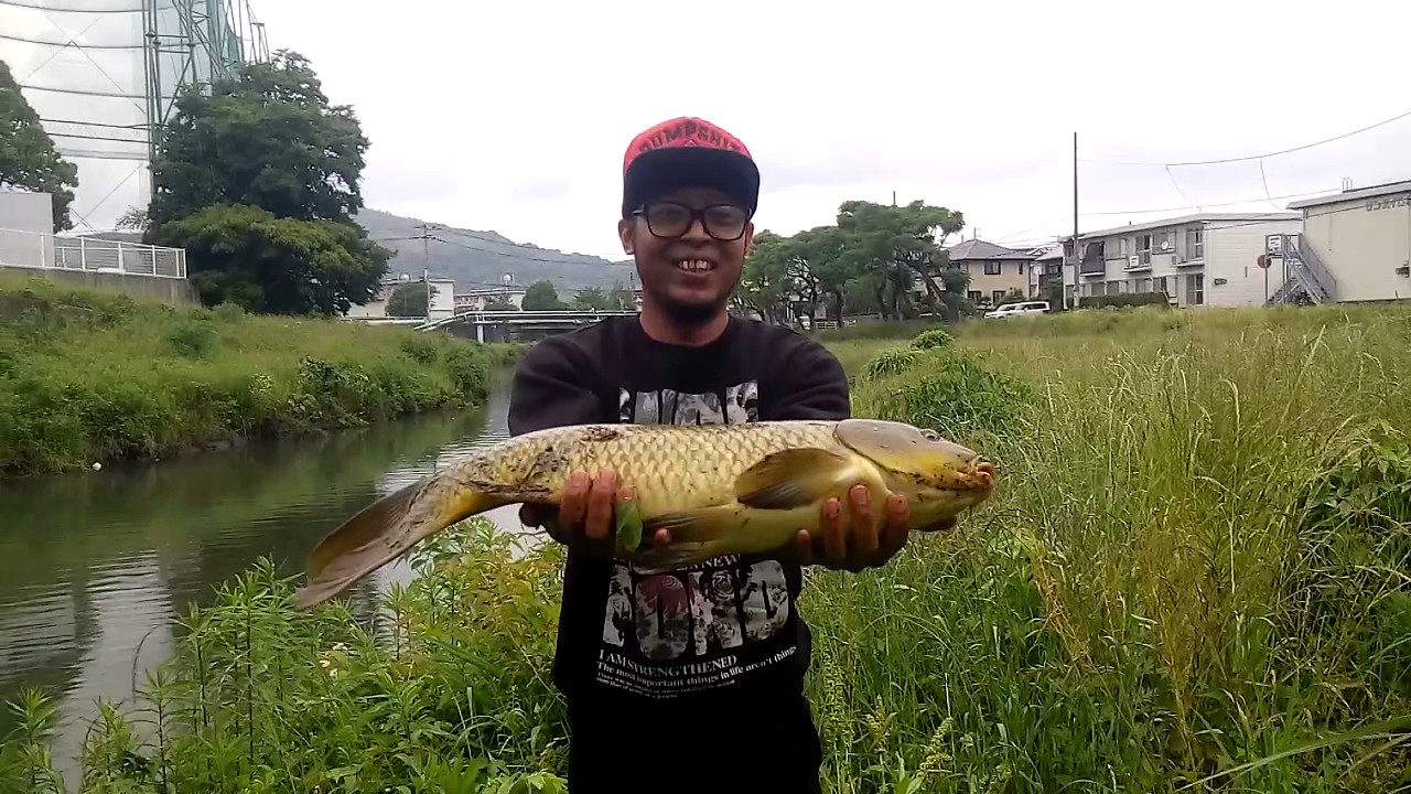 Detail Mancing Ikan Di Sungai Nomer 15