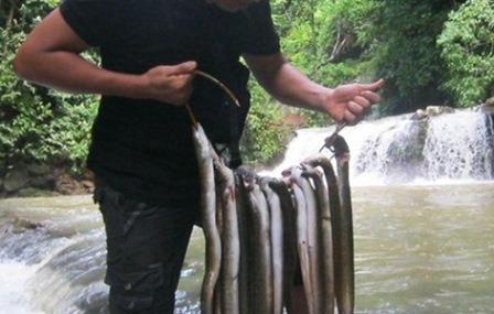 Detail Mancing Ikan Di Sungai Nomer 30
