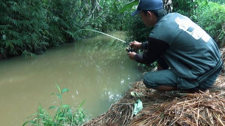 Detail Mancing Ikan Di Sungai Nomer 3