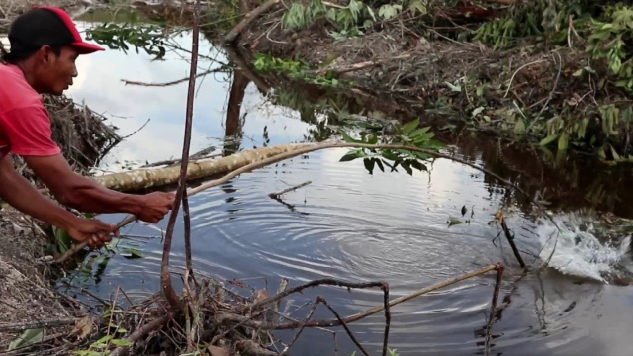 Detail Mancing Ikan Di Sungai Nomer 32