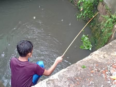 Detail Mancing Ikan Di Sungai Nomer 33