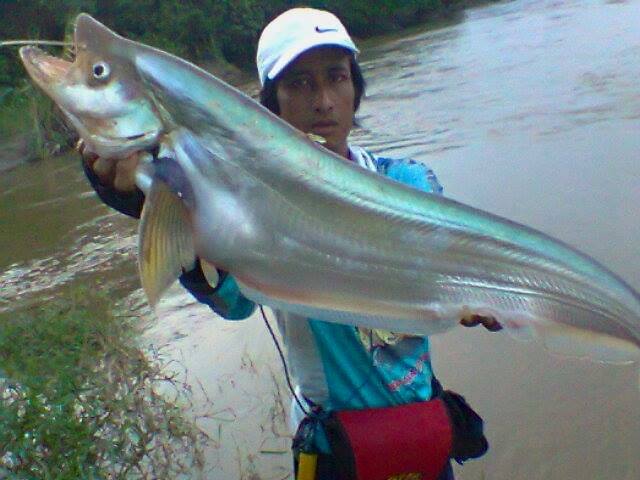 Detail Mancing Ikan Di Sungai Nomer 34