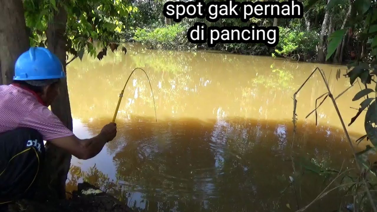 Detail Mancing Ikan Di Sungai Nomer 41
