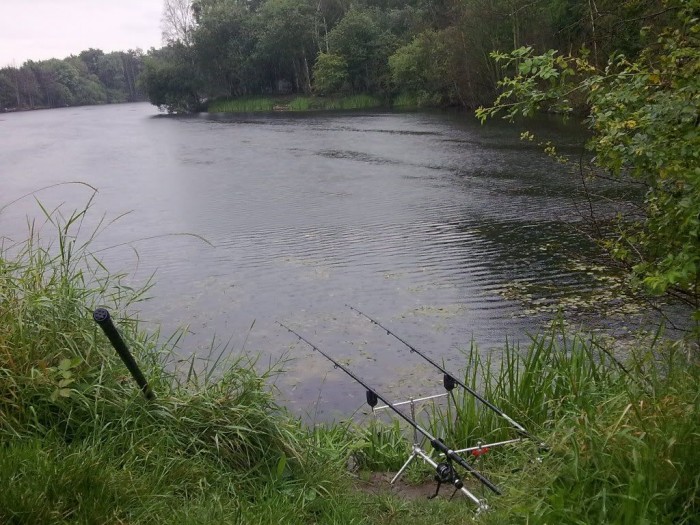 Detail Mancing Ikan Di Sungai Nomer 45