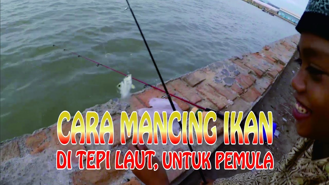 Detail Mancing Ikan Laut Nomer 15