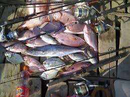 Detail Mancing Ikan Laut Nomer 29