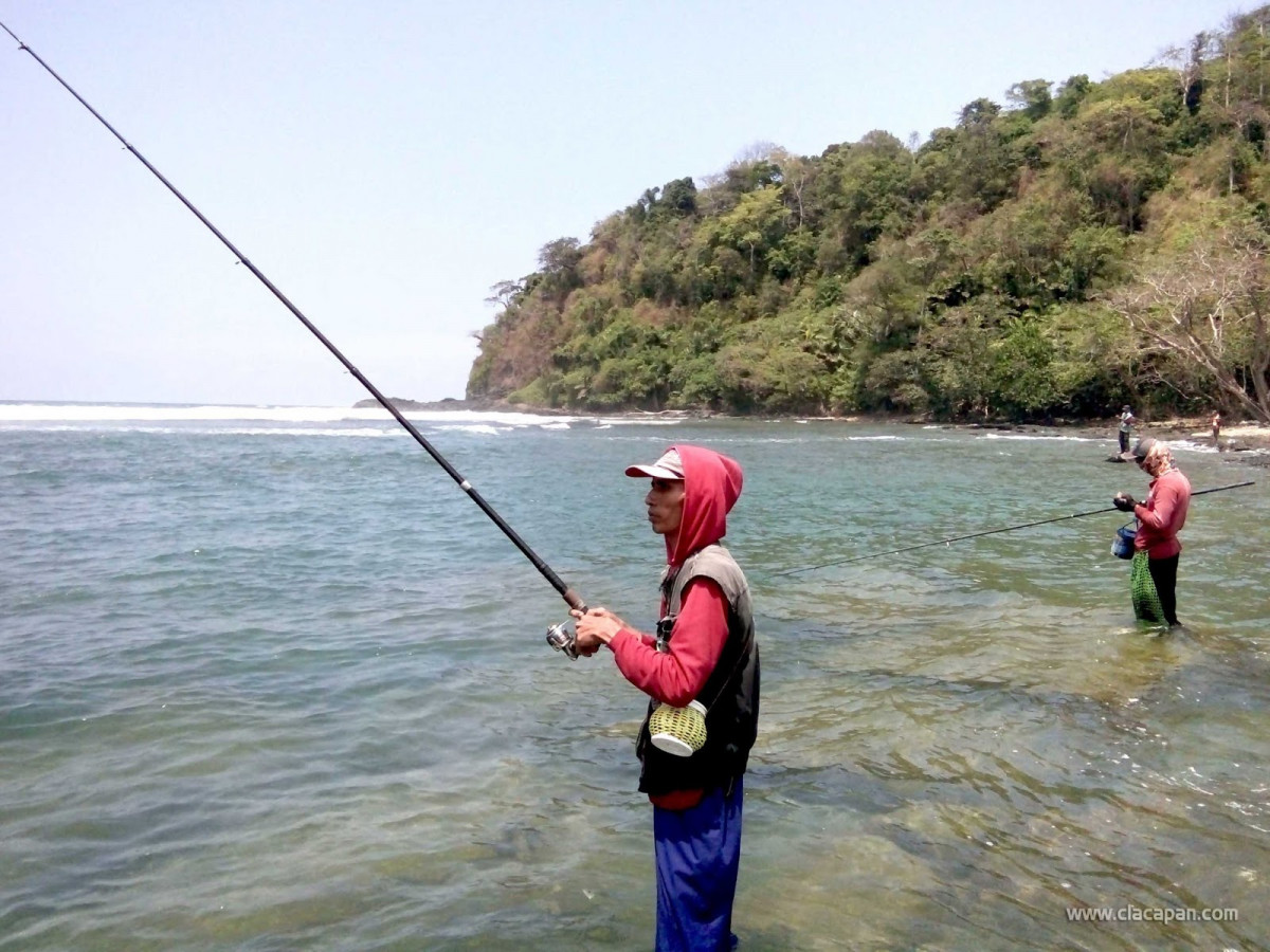 Detail Mancing Ikan Laut Nomer 44