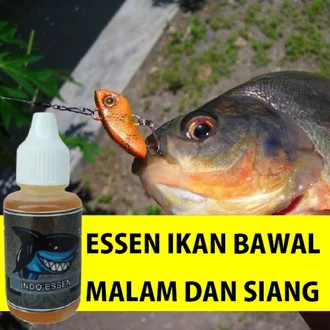 Detail Mancing Ikan Malam Hari Nomer 42