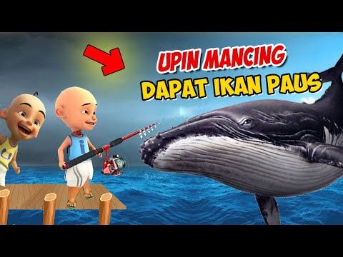 Detail Mancing Ikan Paus Nomer 38