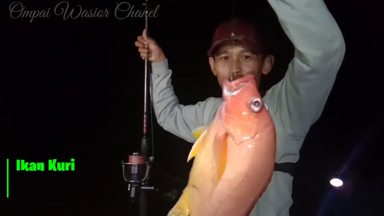 Detail Mancing Malam Hari Di Dermaga Nomer 13