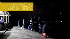 Detail Mancing Malam Hari Di Dermaga Nomer 17