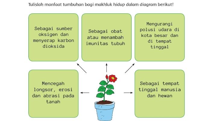 Detail Manfaat Hewan Bagi Lingkungan Rumah Nomer 24