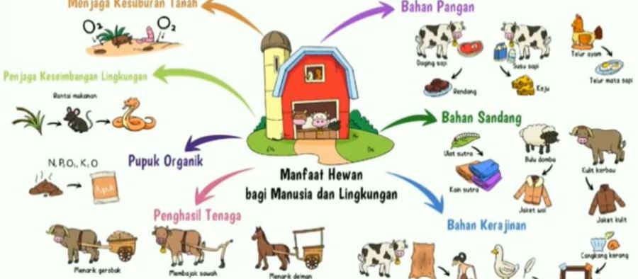 Detail Manfaat Hewan Bagi Lingkungan Rumah Nomer 5