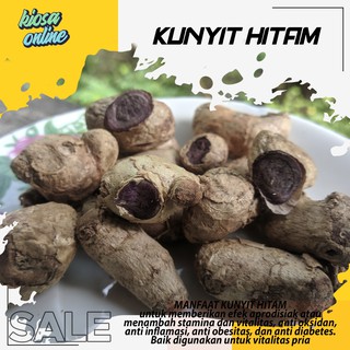 Detail Manfaat Jahe Hitam Nomer 46