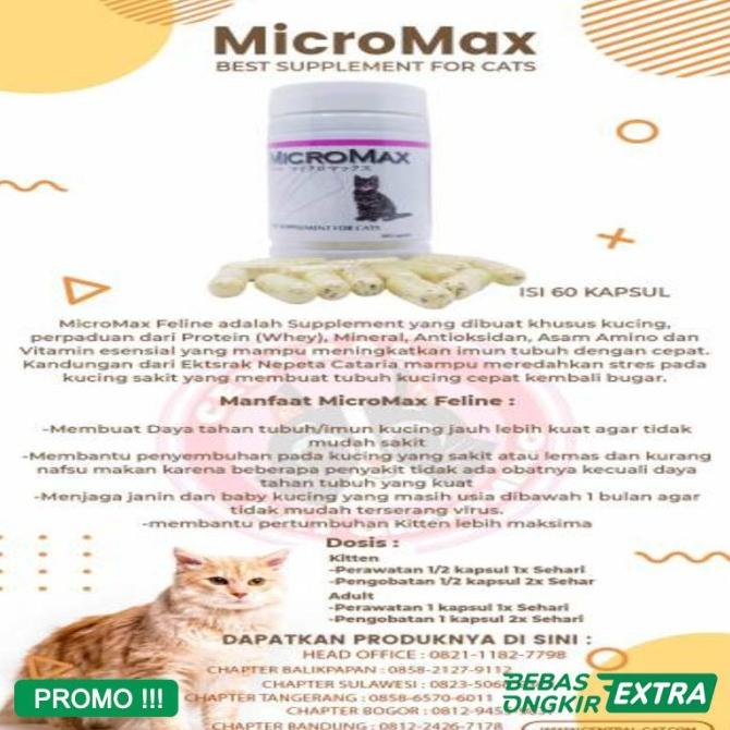 Detail Manfaat Micromax Untuk Kucing Nomer 18