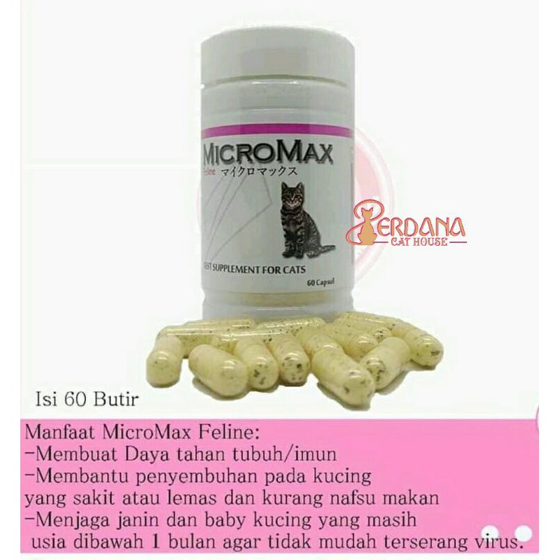 Detail Manfaat Micromax Untuk Kucing Nomer 19