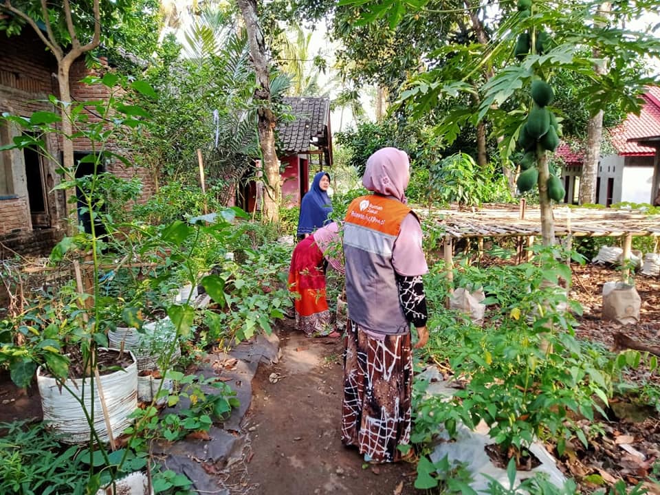 Detail Manfaat Pekarangan Rumah Nomer 13