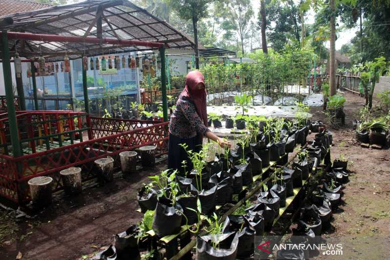 Detail Manfaat Pekarangan Rumah Nomer 25