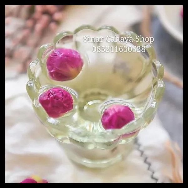 Detail Manfaat Teh Bunga Peony Nomer 31