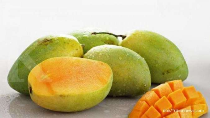 Detail Mangga Muda Untuk Diabetes Nomer 7