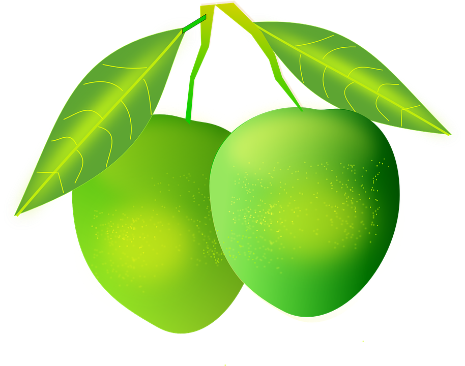 Detail Mangga Vector Png Nomer 3