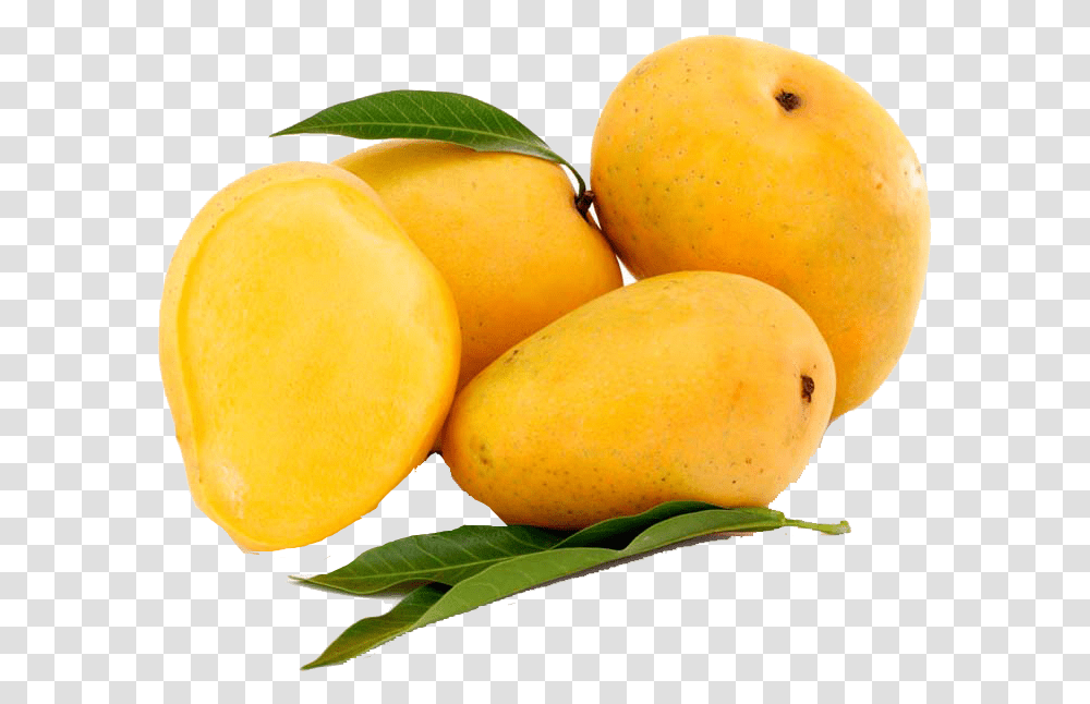 Detail Mango Fruit Png Nomer 12