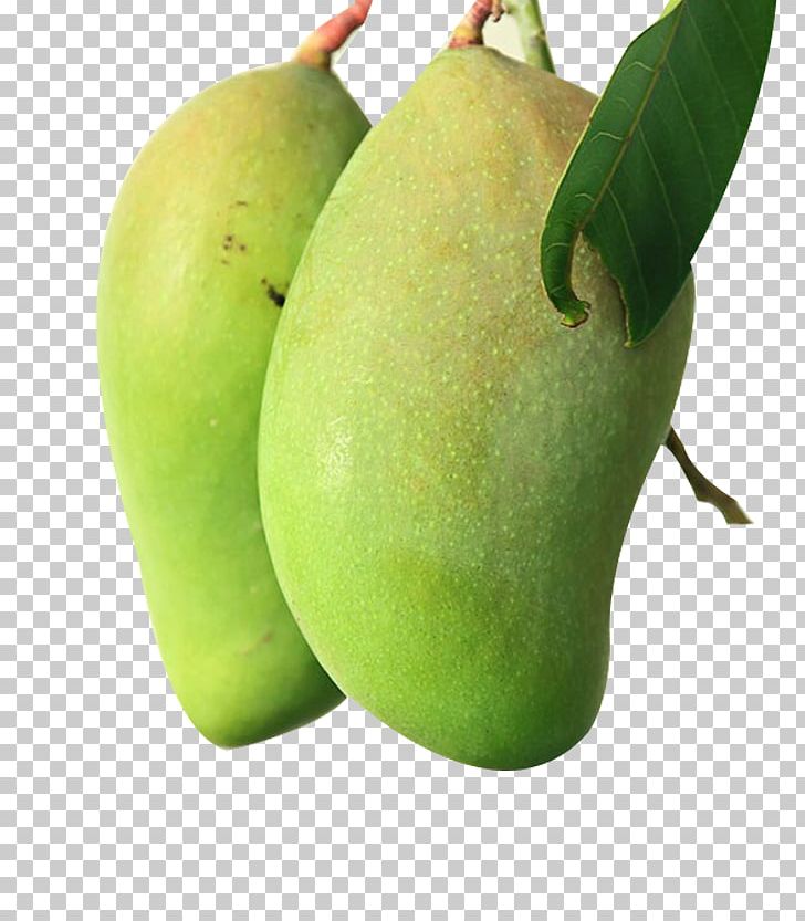 Detail Mango Fruit Png Nomer 24