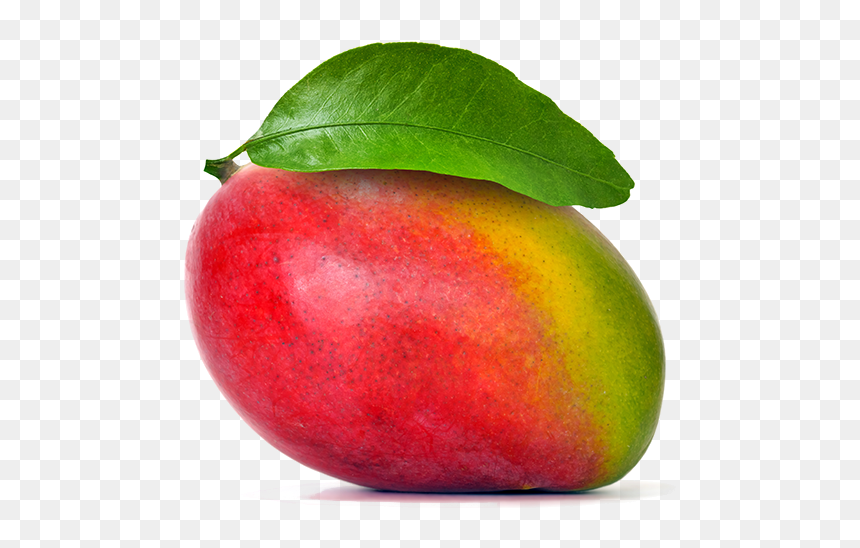 Detail Mango Fruit Png Nomer 30