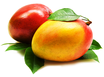 Detail Mango Fruit Png Nomer 33