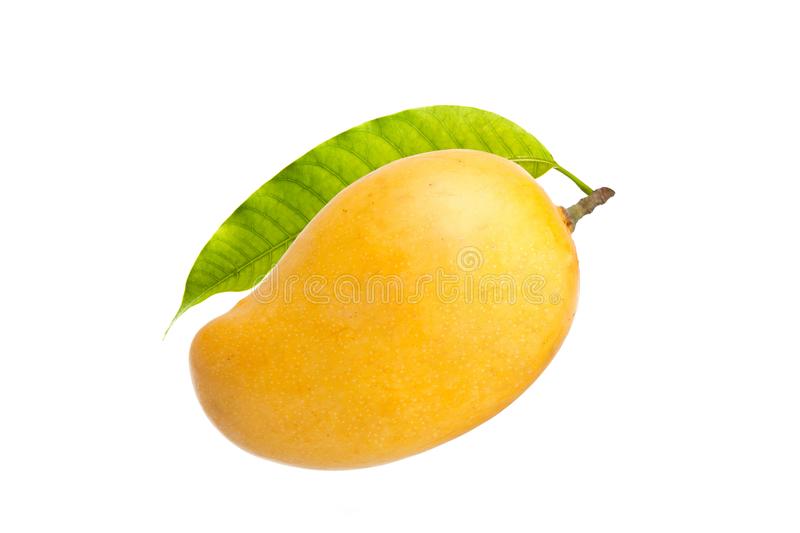 Detail Mango Images Nomer 15