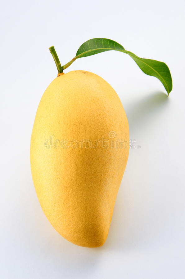Detail Mango Images Nomer 19