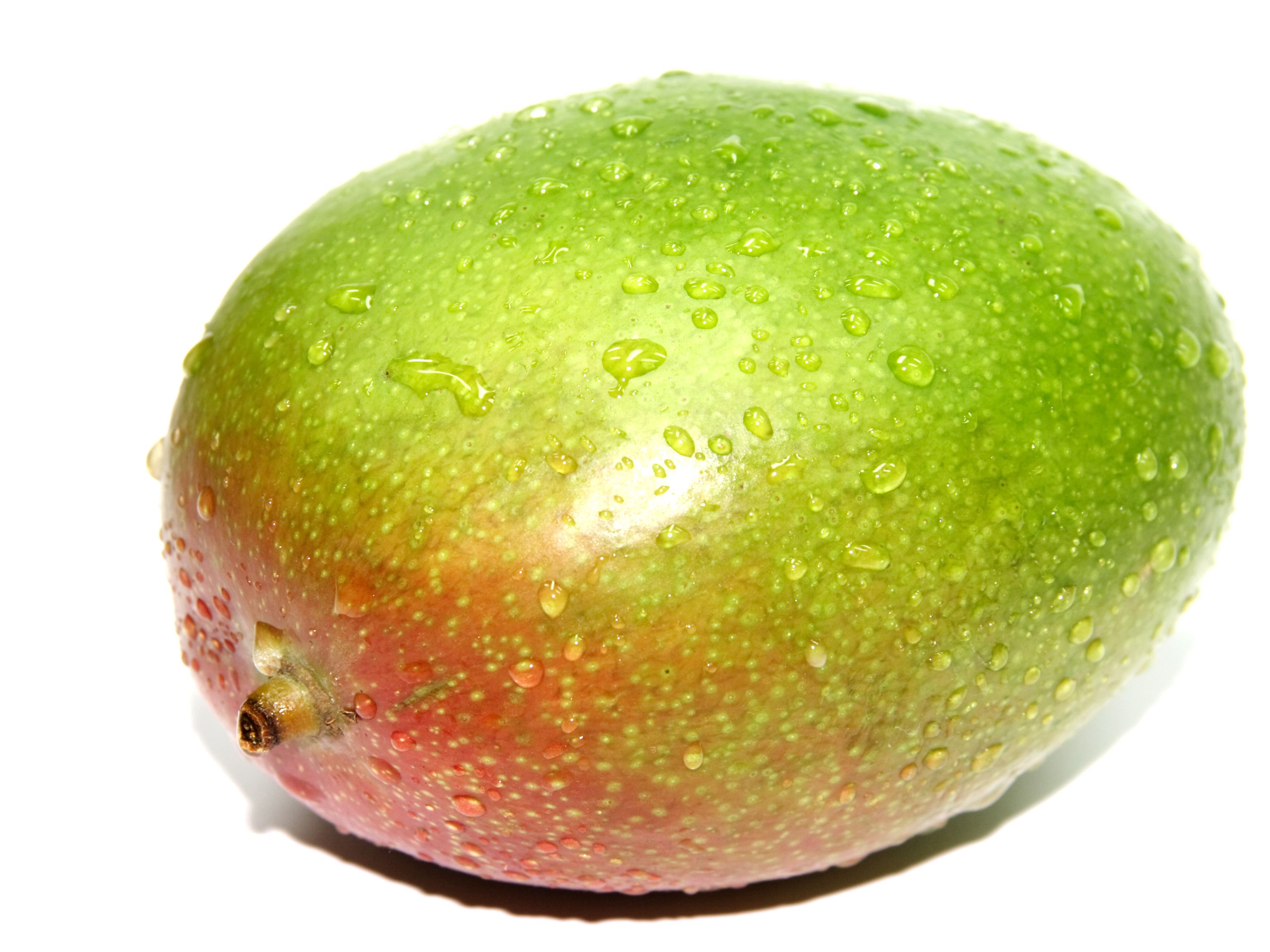Detail Mango Images Nomer 22