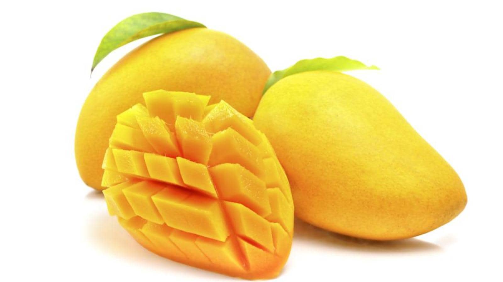 Detail Mango Images Nomer 24