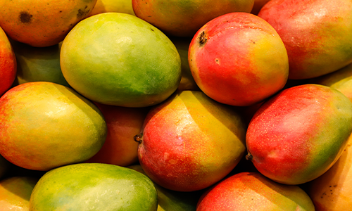 Detail Mango Images Nomer 28