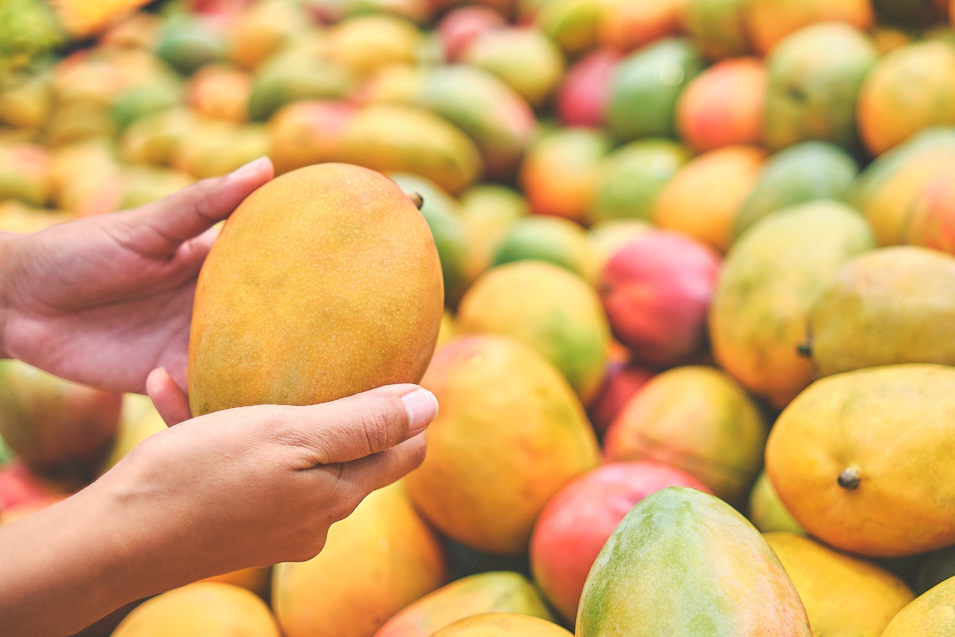 Detail Mango Images Nomer 40