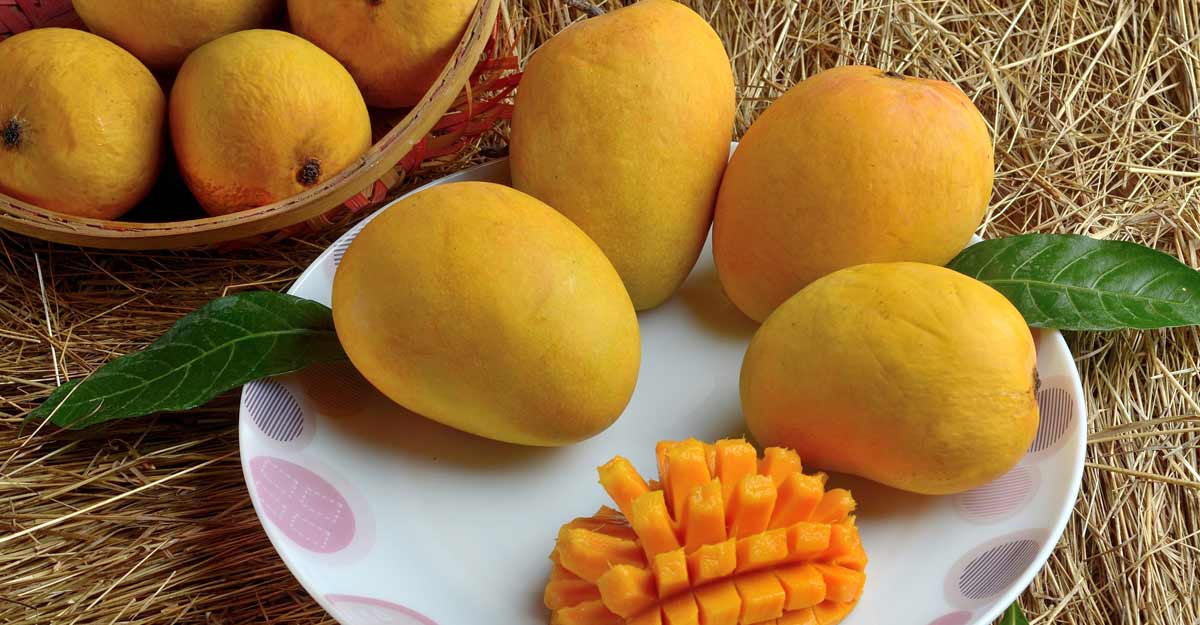 Detail Mango Images Nomer 43